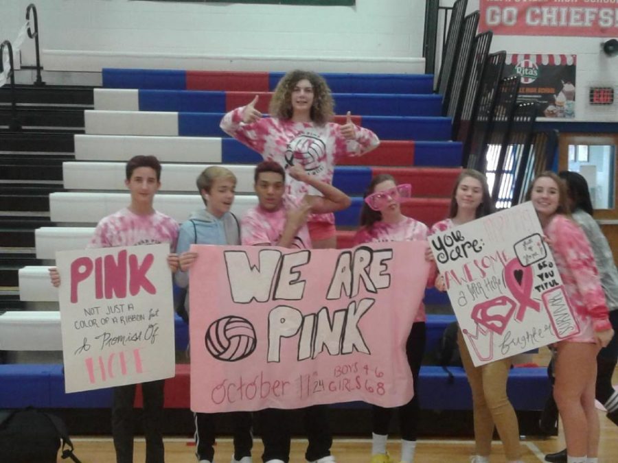 Slideshow%3A+Pink+Out+Volleyball+Game+vs+PA