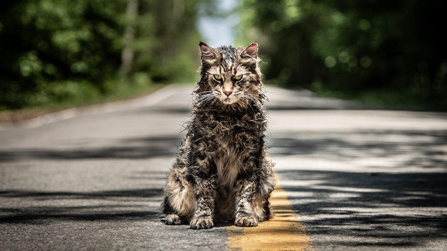 Pet Sematary from Paramount Pictures.