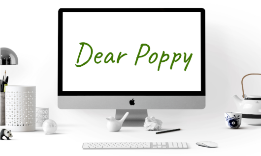 Dear Poppy design created by Sydney Haulenbeek. 