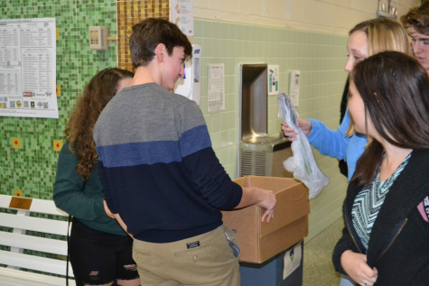 EBA Student Starts Nonprofit to Plant Trees in Kempsville Area and Beyond